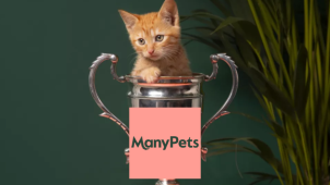Free Luxury Pet Treat Box Worth up to £42 with All New £15K Complete Policies at ManyPets