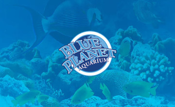 Kids Go Free at Blue Planet Aquarium