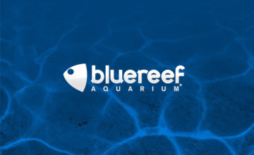 Get One Free Child Ticket per Paying Adult via Kids Pass at Blue Reef Aquarium