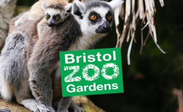 10% Off Animal Experiences for Members at Bristol Zoo Gardens