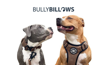 Save £10 Off When You Spend Over £110 with this Bully Billows Discount Code