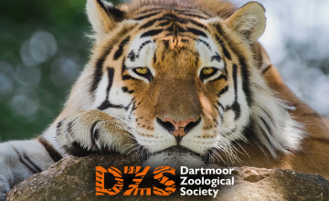 35% Off Tickets | Dartmoor Zoo Discount Code