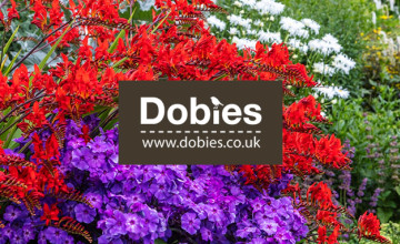Sign-up to the Newsletter for Great Savings at Dobies