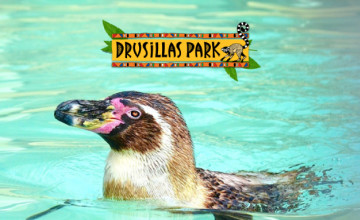 Up to 25% off day tickets with Kids Pass | Drusillas Park Promo