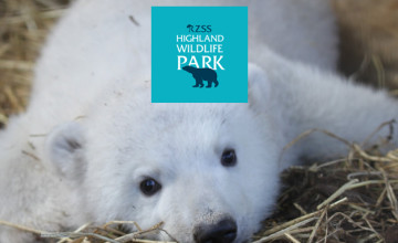 Up to 22% Off Tickets at Highland Wildlife Park