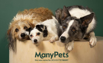 Free £45 Gift Card with Orders Over £260 with ManyPets Promo