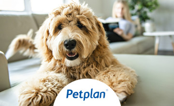 £12 Off with Multi Pet Insurance at Pet Plan