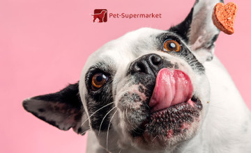 Free Delivery on Orders Over £49 at Pet Supermarket