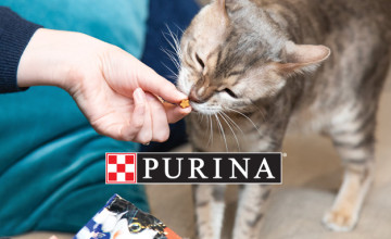 Free Delivery of Orders Over £20 + 10% Off First Orders with Newsletter Sign-Ups - Purina Promo