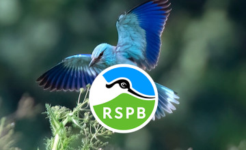 Gift Membership from £5 per Month at RSPB