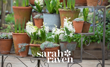 Save up to 50% on Plants in the Sale at Sarah Raven