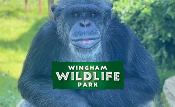 25% Off Tickets | Wingham Wildlife Park Voucher Code