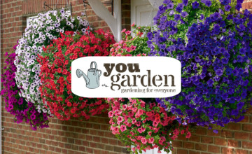 Special Offers with Newsletter Sign-ups at YouGarden