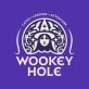 Wookey Hole Vouchers May 2024