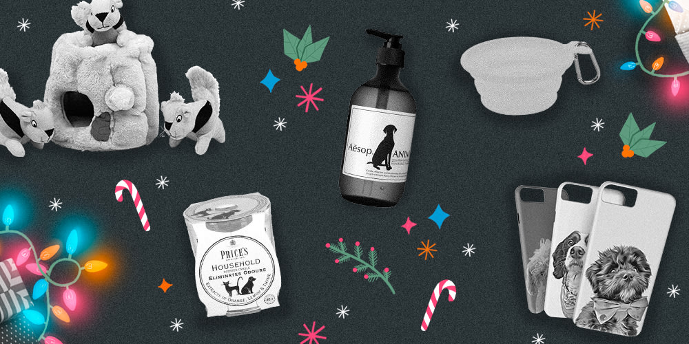 Christmas gift ideas for dogs