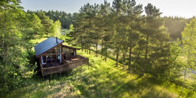 The best family holiday parks in the UK | Forest Holidays