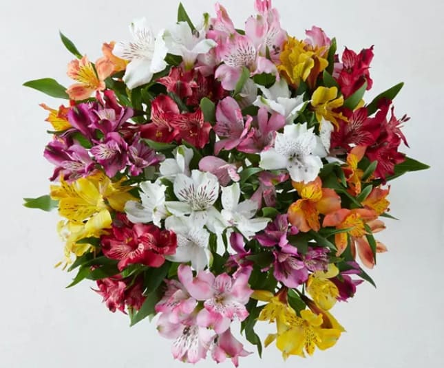 Marks and Spencer Mother's Day flowers - cheap Mother's Day gifts from vouchercloud