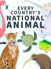 Every Country's National Animal - Mapped